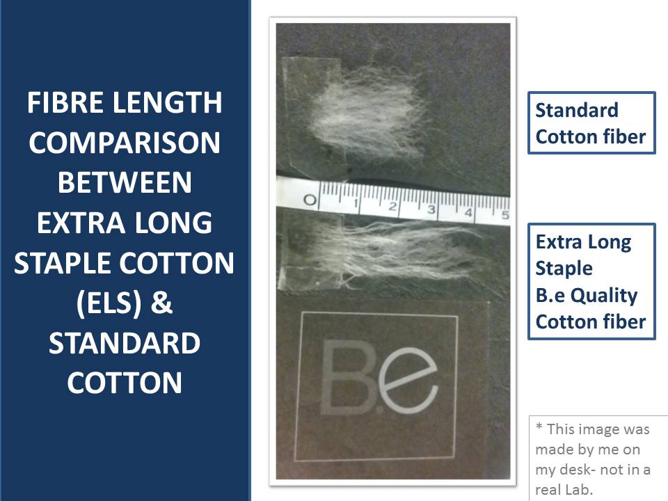 pima cotton vs traditional cotton fibre length
